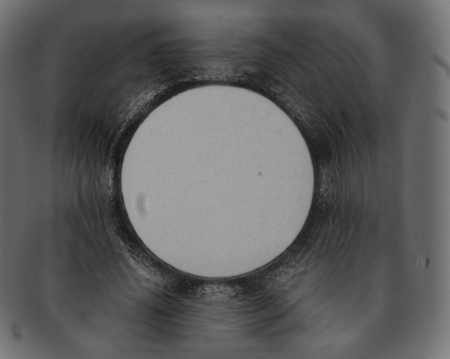 X0000091520636200709071017