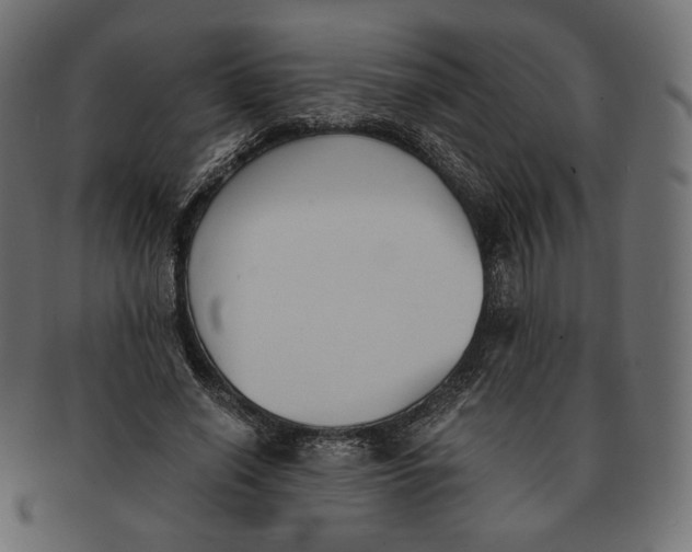 X0000091520638200709071018