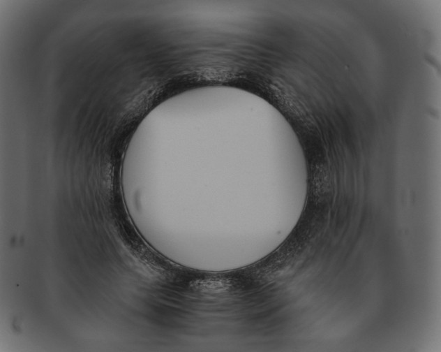 X0000091520639200709071018