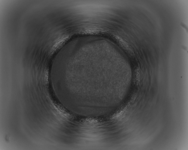 X0000091520640200709071018