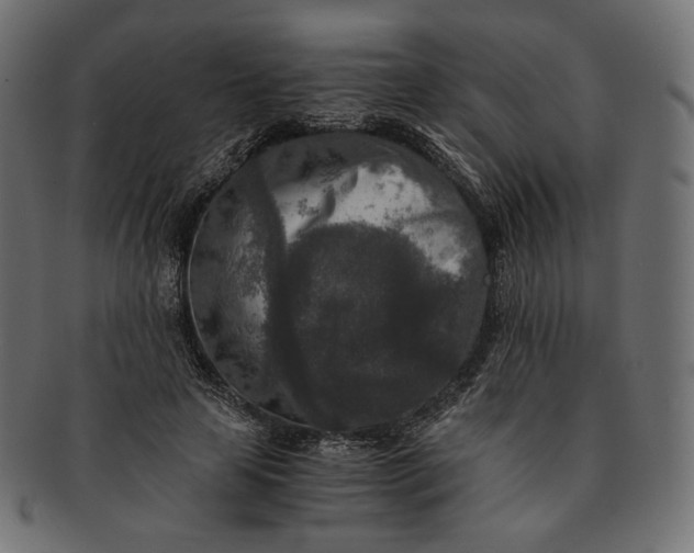 X0000091520641200709071018