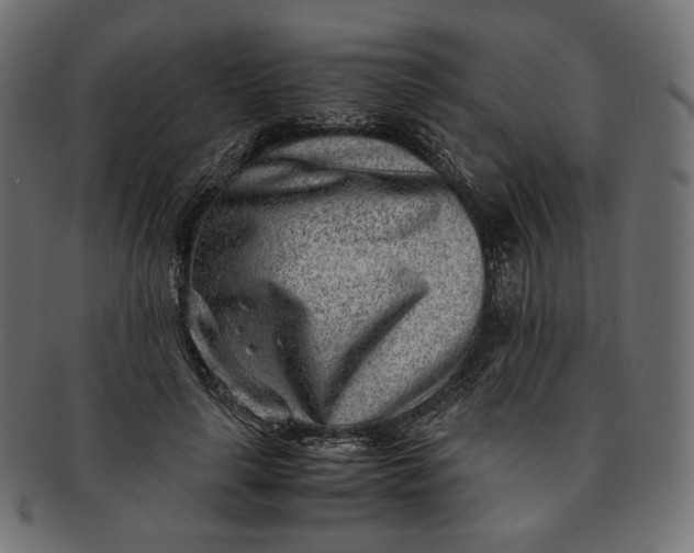 X0000091520643200709071018