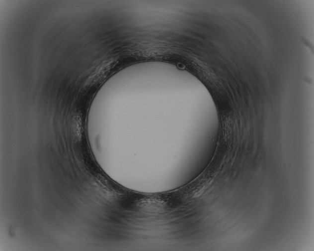 X0000091520644200709071018