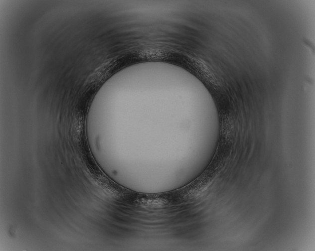 X0000091520645200709071018