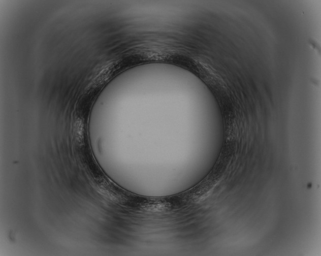 X0000091520646200709071018