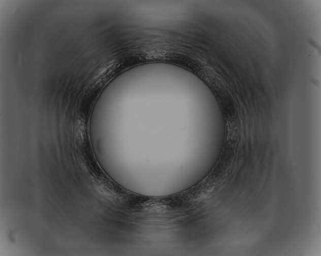 X0000091520648200709071018