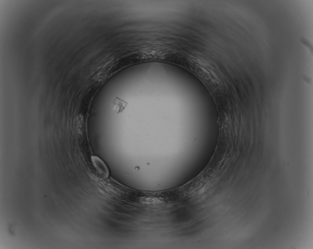 X0000091520649200709071018