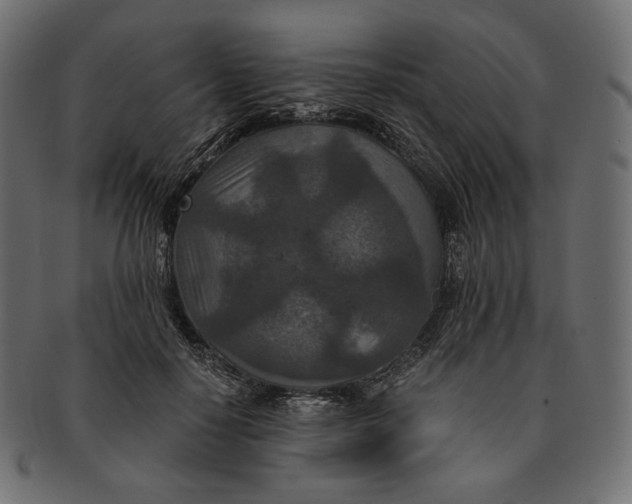 X0000091520650200709071018