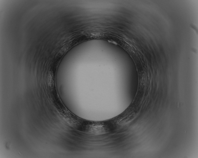 X0000091520651200709071018