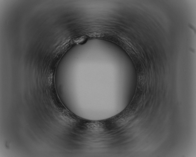 X0000091520652200709071018