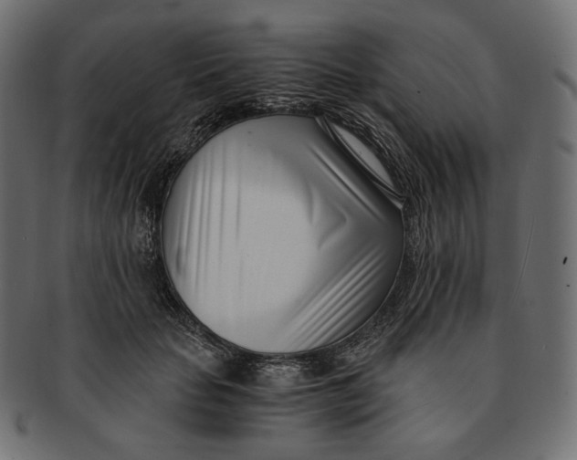 X0000091520653200709071018