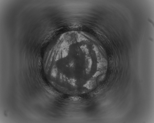 X0000091520654200709071018