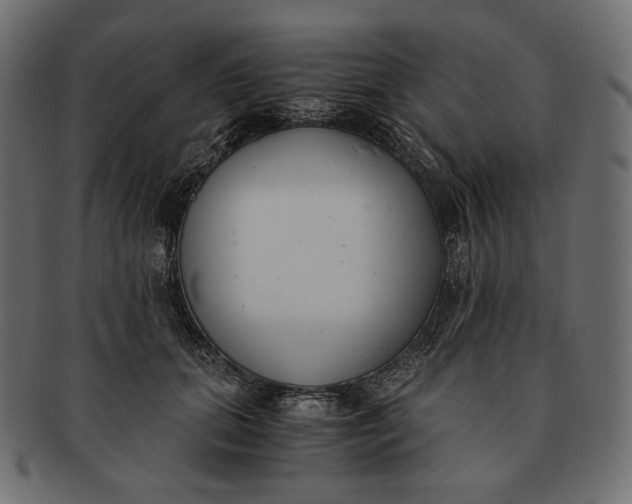 X0000091520655200709071018