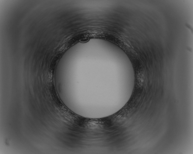 X0000091520657200709071018