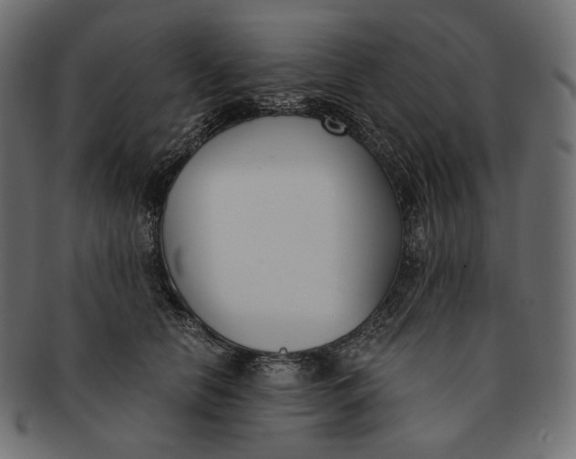 X0000091520658200709071018