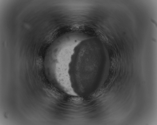 X0000091520659200709071018