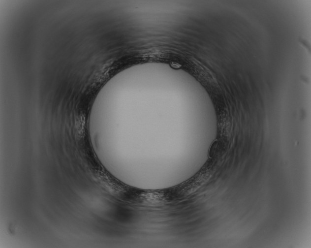 X0000091520660200709071018