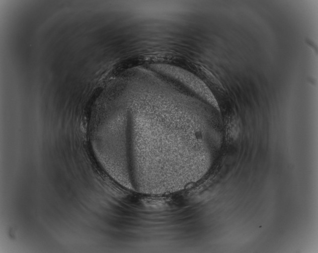 X0000091520661200709071018