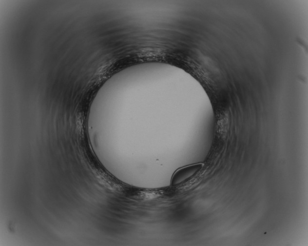 X0000091520662200709071018