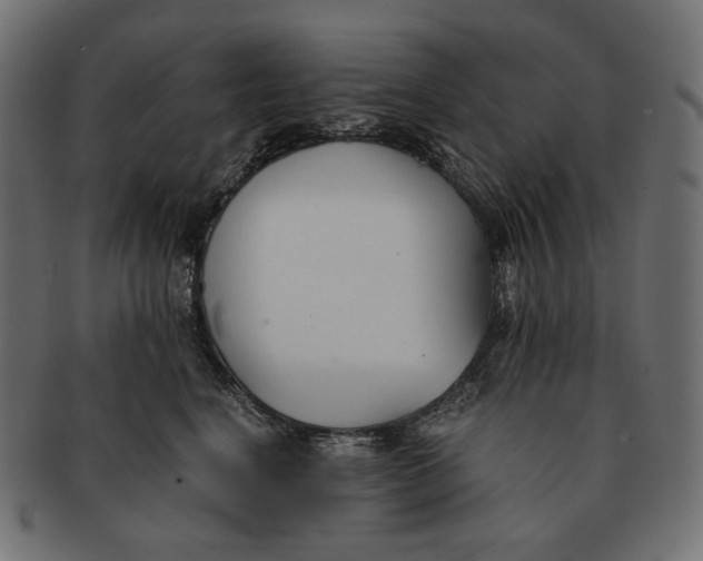 X0000091520664200709071018