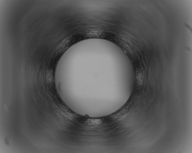 X0000091520665200709071018