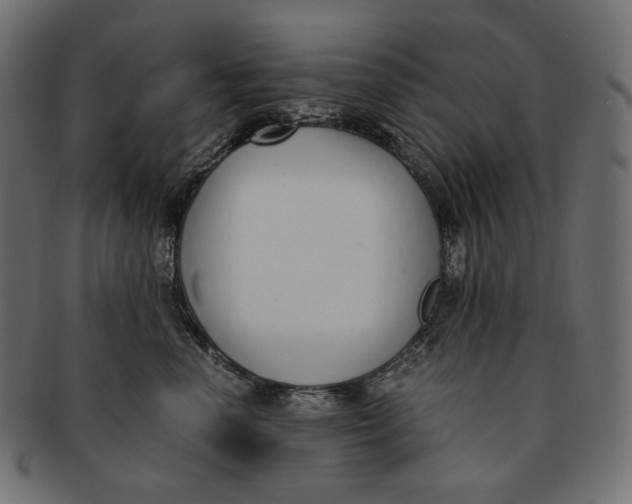 X0000091520666200709071018