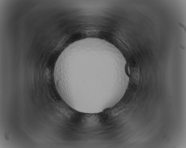 X0000091520667200709071018