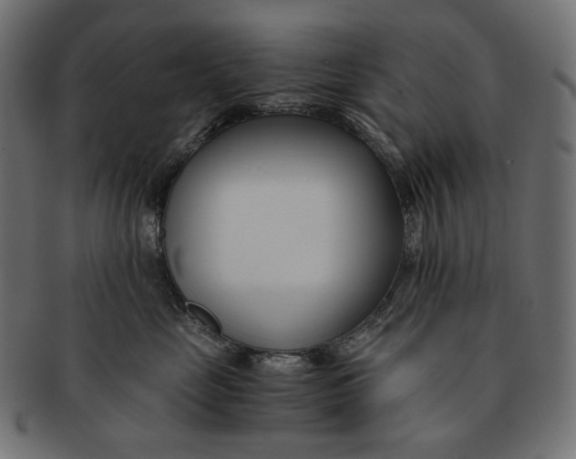 X0000091520669200709071018