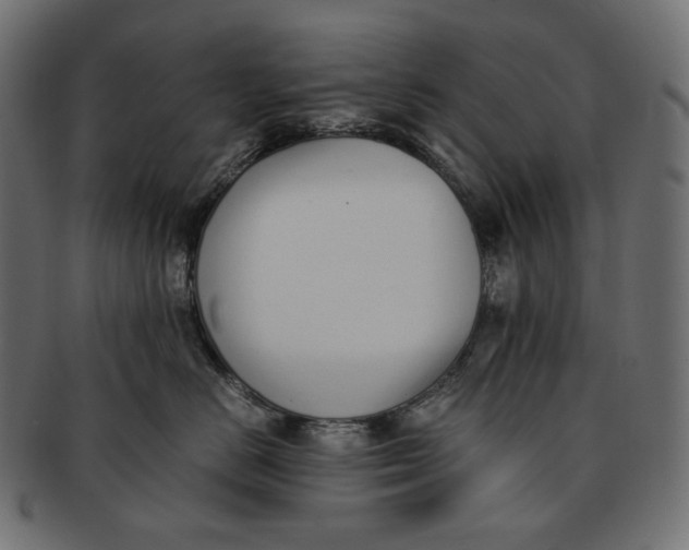 X0000091520670200709071018