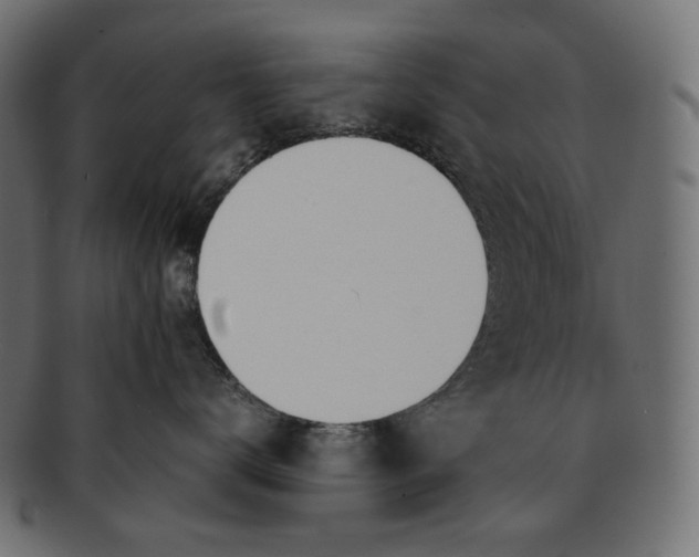 X0000091520672200709071018