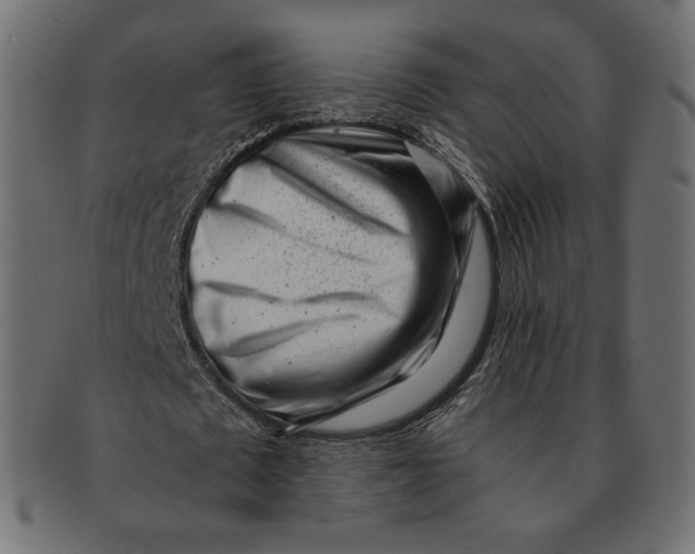 X0000091520673200709071017