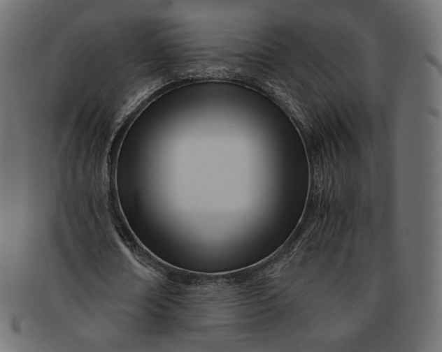 X0000091520674200709071017