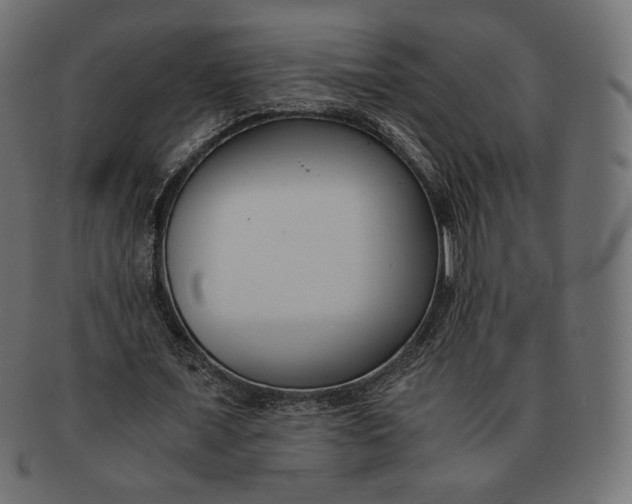 X0000091520675200709071017