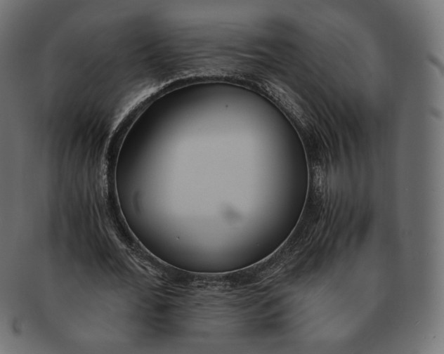 X0000091520676200709071017