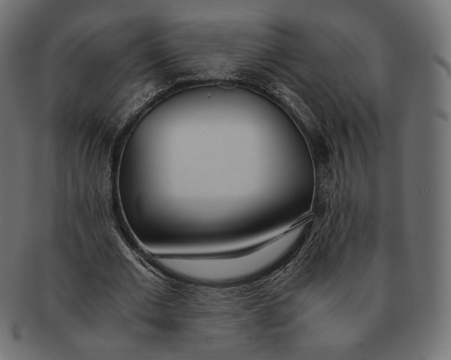 X0000091520677200709071017