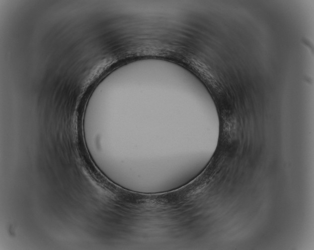 X0000091520678200709071017