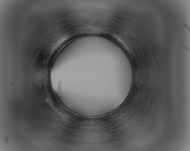 X0000091520679200709071017