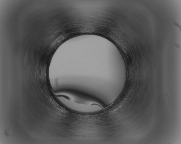 X0000091520681200709071017