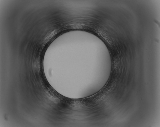 X0000091520682200709071017