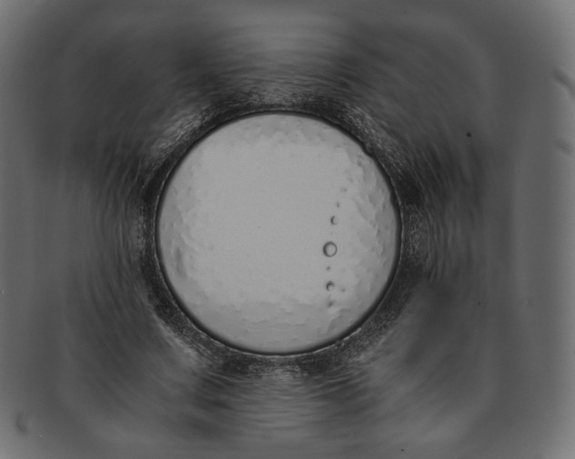 X0000091520683200709071017