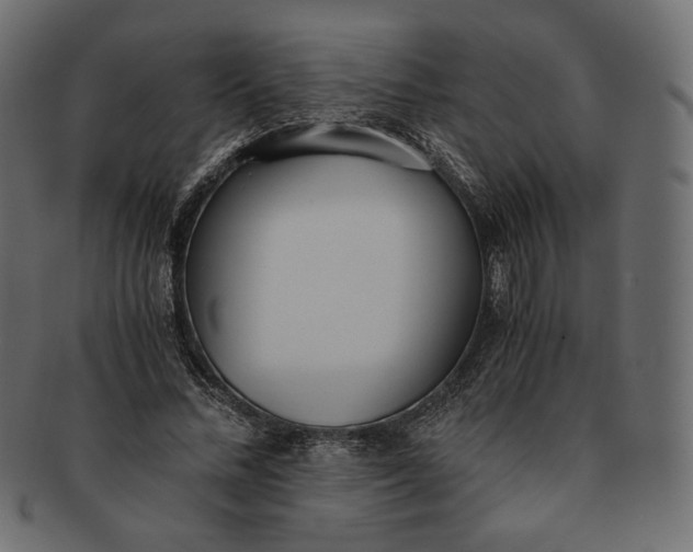 X0000091520684200709071017