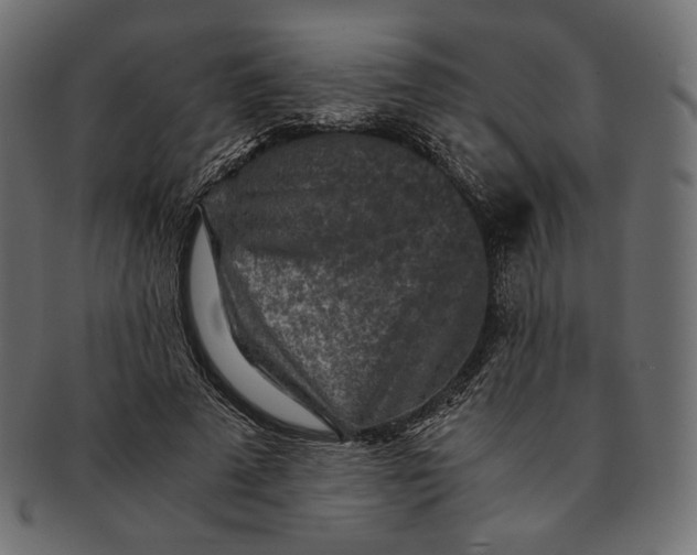 X0000091520689200709071017