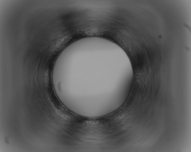 X0000091520690200709071017