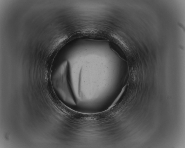 X0000091520692200709071017