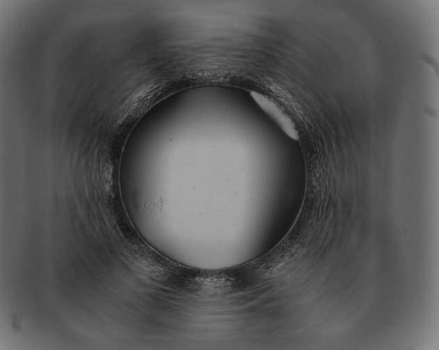 X0000091520693200709071017