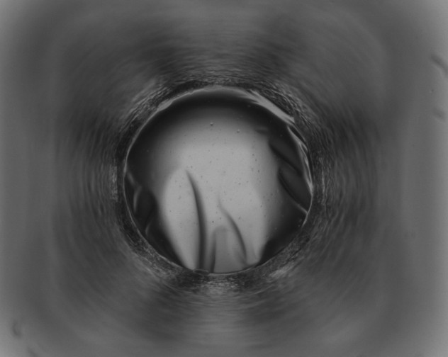 X0000091520696200709071017