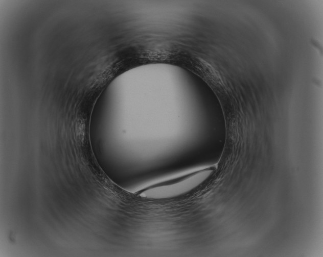 X0000091520697200709071017