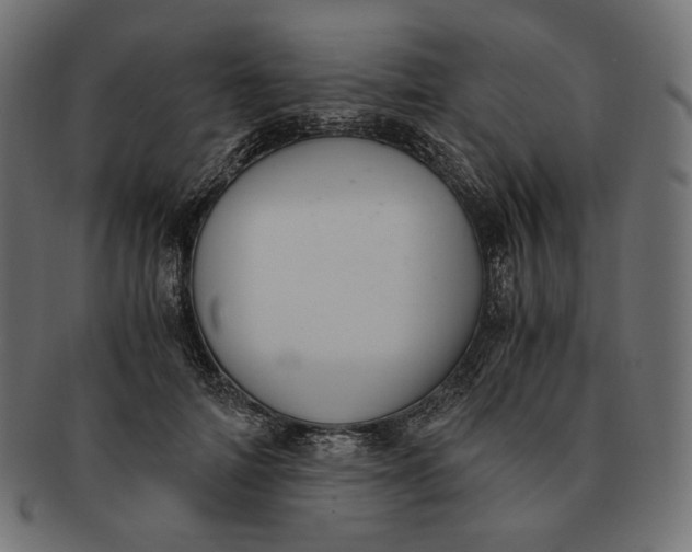 X0000091520698200709071017