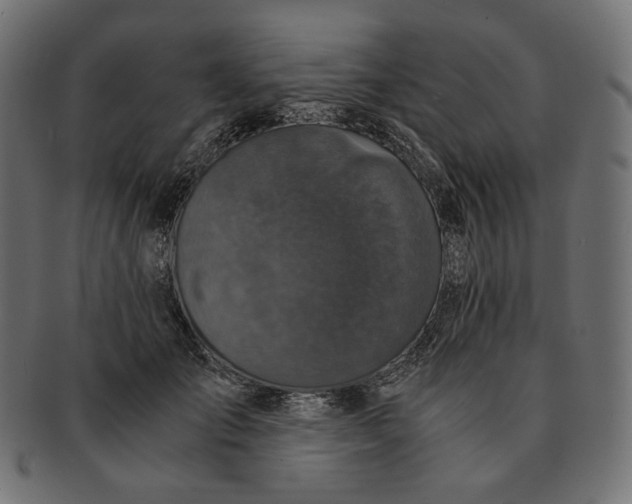 X0000091520701200709071017