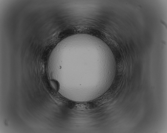 X0000091520703200709071017